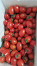 廣西紅色圣女果小番茄新鮮水果沙拉新鮮 超實(shí)惠帶箱5斤凈重4.7斤 曬單實(shí)拍圖