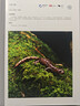 3-國家重點(diǎn)保護野生動(dòng)物圖鑒（兩棲類(lèi)、魚(yú)類(lèi)、昆蟲(chóng)及其他） 曬單實(shí)拍圖