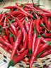 農大姐妹小米椒 新鮮特辣小米辣 農家自種小紅辣椒 小米紅辣椒 新鮮小米辣 正常發(fā)貨5斤現摘特辣 曬單實(shí)拍圖