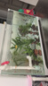 森森 超白玻璃小魚(yú)缸HWK-600P裸缸款水草缸金魚(yú)缸小型水族箱水草缸  曬單實(shí)拍圖
