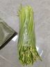 山東新鮮長(cháng)蒜苔生鮮蔬菜農家自種現摘蒜苔產(chǎn)地直發(fā) 新鮮長(cháng)蒜苔毛重  2斤 曬單實(shí)拍圖