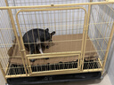 貝初眾狗籠中型犬籠子狗狗籠子小型犬狗籠子帶廁所一體加粗方管寵物籠子 黃/95*65*85cm 適合60斤內寵物 【加粗加密方管款】穩固/耐啃咬 帶廁所托盤(pán)/天窗/喂食小窗 曬單實(shí)拍圖