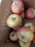 京地達新疆阿克蘇冰糖心蘋(píng)果凈重4.5斤單果160g+生鮮水果源頭直發(fā)包郵 曬單實(shí)拍圖