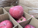 靜寧蘋(píng)果【送貨上門(mén)】甘肅紅富士蘋(píng)果水果新鮮時(shí)令應季現摘整箱孕婦水果 凈重12斤 80-85mm大果約24枚 曬單實(shí)拍圖