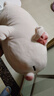 名創(chuàng  )優(yōu)品（MINISO）小豬B-BO彈力超柔趴姿公仔毛絨玩具玩偶抱枕靠枕娃娃生日禮物女 曬單實(shí)拍圖