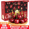 京地達大連美早大櫻桃J級大果2.8斤 單果8-10g 新鮮水果 源頭直發(fā) 曬單實(shí)拍圖