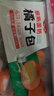 安井慕斯蛋奶橘子包350g*2 共20只 早餐兒童面點(diǎn)卡通甜包速凍半成品 曬單實(shí)拍圖