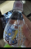 屈臣氏兒童水小馬寶莉款寶寶水200mL*12瓶蒸餾水純凈水整箱小瓶水贈盲卡 曬單實(shí)拍圖