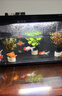 米家小米米家智能魚(yú)缸濾芯 多層復合過(guò)濾 物理+生化過(guò)濾 曬單實(shí)拍圖