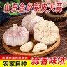 京鮮生山東金鄉大蒜帶皮新鮮干蒜 凈重1.8斤 單果6.0+cm 源頭直發(fā)包郵 曬單實(shí)拍圖