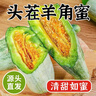 洮小嬋山東羊角蜜甜瓜 新鮮當季應季時(shí)令水果 脆甜蜜瓜香瓜整箱 帶箱5斤 單果250-350g 凈重4.5斤 曬單實(shí)拍圖