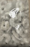 環(huán)球水產(chǎn)生蝦仁 特大號 凈重2斤去冰 58-66只已去蝦線(xiàn) 生鮮 聚餐 家庭送禮 曬單實(shí)拍圖