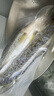鮮京采三去海鱸魚(yú)3斤/3條 生鮮魚(yú)類(lèi) 白蕉鱸魚(yú)地標 年貨家宴魚(yú)類(lèi)源頭直發(fā) 曬單實(shí)拍圖
