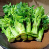 云南新鮮水果清芹芽可生吃的芹菜當季現采現發(fā)新鮮網(wǎng)紅菜綠色青菜 500g 曬單實(shí)拍圖