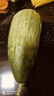 京覓 山東頭茬羊角蜜甜瓜 3斤凈重 單果300g起蜜瓜新鮮水果源頭直發(fā) 曬單實(shí)拍圖