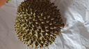 榴小七黑刺榴蓮D200馬來(lái)西亞進(jìn)口液氮冷凍甄選 生鮮水果 凈重3.5-4.0斤【保4房】當季新果 曬單實(shí)拍圖