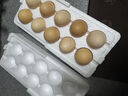 山林新鮮雞蛋當日現撿鮮雞蛋生鮮京東超市單枚40g左右 當日現撿新鮮土雞蛋10枚 曬單實(shí)拍圖