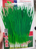 四季小香蔥種子蔥種庭院陽(yáng)臺盆栽小蔥蔬菜種子籽四季易播種菜種子 小香蔥種子【1包 約300?！?曬單實(shí)拍圖