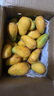 京鮮生 海南小臺芒 凈重4.5斤 單果70g起  生鮮水果 源頭直發(fā) 曬單實(shí)拍圖