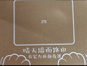 中興（ZTE）【晴天墻面路由器】AX3000滿(mǎn)血WiFi6自研雙核芯品質(zhì)家居別墅ap 主路由Mesh3000M無(wú)線(xiàn)速率千兆網(wǎng)口 曬單實(shí)拍圖