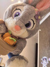 迪士尼（Disney）瘋狂動(dòng)物城正版朱迪玩偶兔子毛絨玩具娃生日禮物女七夕情人節禮物 曬單實(shí)拍圖