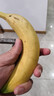 佳農 進(jìn)口香蕉凈重4斤（約10-12根）單根蕉 獨立裝 生鮮水果 新鮮包郵 曬單實(shí)拍圖