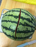 京鮮生 無(wú)籽麒麟西瓜 凈重7-9斤 1粒裝 生鮮水果源頭直發(fā)包郵 曬單實(shí)拍圖