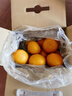南步浙江慶元甜桔柚 麗水特產(chǎn)甜橘柚黃金貢柚非建陽(yáng)新鮮水果年貨送禮 5斤 精選大果【單果80mm+】簡(jiǎn)裝 曬單實(shí)拍圖