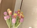 郁金香鮮花家庭生活鮮花云南直發(fā) 隨機色郁金香買(mǎi)10枝送10枝 曬單實(shí)拍圖