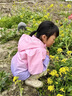 真維斯女童沖鋒衣三合一2025秋冬新款可拆卸大兒童冬裝防風(fēng)防水保暖外套 【單件漸變沖鋒衣】粉紫/J純色 160 曬單實(shí)拍圖