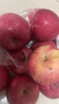 靜寧蘋(píng)果【送貨上門(mén)】甘肅紅富士蘋(píng)果水果新鮮時(shí)令應季現摘整箱孕婦水果 凈重6斤 80-85mm大果約12枚 曬單實(shí)拍圖