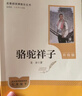 駱駝祥子（升級版）人教版名著(zhù)閱讀課程化叢書(shū) 七年級下冊 與25春新版初中語(yǔ)文教材配套使用（含微課，從教學(xué)角度講解名著(zhù)；含閱讀筆記本，提供測評指導幫助提升整本書(shū)閱讀能力） 曬單實(shí)拍圖