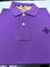 名郎（MELLEN）高檔品牌t恤男士短袖夏季薄款翻領(lǐng)上衣半袖中年商務(wù)休閑polo衫男 紫色 3XL 曬單實(shí)拍圖