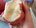 吉縣蘋(píng)果【禮盒裝】正宗山西吉縣紅富士蘋(píng)果壺口脆甜蘋(píng)果精選新鮮送禮水果 90以上大果【12顆高端送禮佳品】 曬單實(shí)拍圖