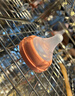 貝親（Pigeon）自然實(shí)感第3代啟銜奶嘴 寬口徑奶嘴 SS號-1只裝 0個(gè)月以上 BA129 曬單實(shí)拍圖