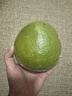 京鮮生 翡翠青柚 紅心柚 1粒裝 單果1.5斤起 生鮮柚子水果 曬單實(shí)拍圖
