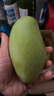 金煌芒新鮮進(jìn)口水果廣西當季熱帶大青皮芒果整箱批發(fā)送禮品物盒 凈重8斤裝【蕞劃算】 甄選特級果【單果250g+】 曬單實(shí)拍圖