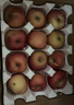 京喜加陜西洛川紅富士蘋(píng)果不打蠟帶皮吃新鮮脆甜多汁水果新鮮采摘包郵 5斤中果【含箱重】?jì)糁?.5斤 曬單實(shí)拍圖