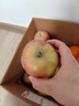 京地達新疆阿克蘇冰糖心蘋(píng)果凈重4.5斤單果160g+生鮮水果源頭直發(fā)包郵 曬單實(shí)拍圖