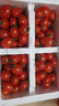 廣西露天圣女果櫻桃小番茄即食水果西紅柿新鮮蔬菜應季整箱批發(fā)價(jià) 帶箱5斤 4.5斤 凈重 曬單實(shí)拍圖