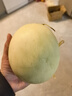 京鮮生海南玉菇甜瓜 凈重4.5-5斤2粒裝 水果源頭直發(fā)包郵 曬單實(shí)拍圖