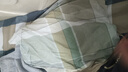 蕎麥枕頭枕芯100%全棉純蕎麥皮殼睡眠家用成人護頸枕硬枕高枕 特級高山蕎麥殼 雙拼豆綠單只 曬單實(shí)拍圖
