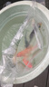 錦鯉魚(yú)活體觀(guān)賞魚(yú)活魚(yú)小型易養冷水淡水魚(yú)小魚(yú)苗錦鯉金魚(yú)好看錦鯉 10-12cm 六色錦鯉套餐6條 曬單實(shí)拍圖