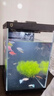小米米家二代魚(yú)缸米家智能桌面養魚(yú)缸專(zhuān)業(yè)背濾拆箱即用豎式高透玻璃缸 智能桌面魚(yú)缸 陶瓷白 曬單實(shí)拍圖