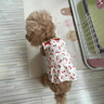 嬉皮狗（hipidog）狗狗衣服櫻桃甜心滿(mǎn)印牽引吊帶泰迪比熊小型幼犬春夏季寵物連衣裙 櫻桃吊帶裙（可牽引） M （建議體重5-8斤） 曬單實(shí)拍圖