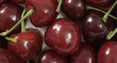 少羽車(chē)厘子櫻桃【順豐/JD-多地次日達】大連美早大櫻桃新鮮水果送禮物 2斤(凈重) 【特惠裝暢吃】 品質(zhì)大果 J 26-28mm【新鮮上市】 曬單實(shí)拍圖