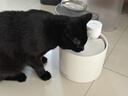 喵享家貓咪智能陶瓷無(wú)線(xiàn)飲水機續航感應飲水器寵物水碗殺菌款6000mAh 曬單實(shí)拍圖