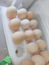 德青源可生食富硒葉黃素鮮雞蛋30枚1.5kg 無(wú)抗生素  家庭年貨禮盒 曬單實(shí)拍圖
