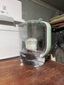 膳魔師 凈水壺 濾水壺 過(guò)濾水壺 家用過(guò)濾器 凈水器  4.5L大容量 自來(lái)水過(guò)濾器 濾水器 過(guò)濾壺 1壺13芯 森養綠1壺13芯 曬單實(shí)拍圖