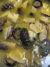兆華鮑汁鮑魚(yú)160g加熱即食大鮑魚(yú)海鮮生鮮早餐預制菜鮑魚(yú)汁撈飯自營(yíng) 曬單實(shí)拍圖